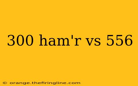 300 ham'r vs 556