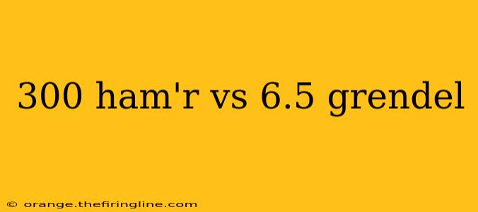 300 ham'r vs 6.5 grendel