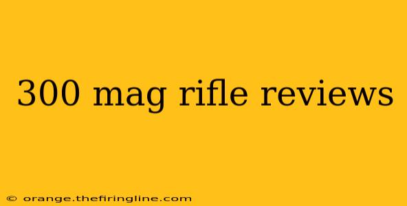 300 mag rifle reviews