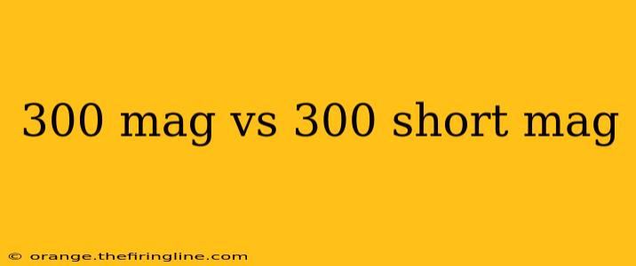 300 mag vs 300 short mag