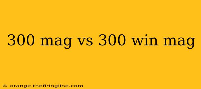 300 mag vs 300 win mag