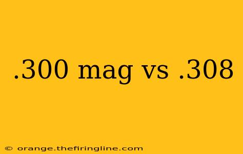 .300 mag vs .308