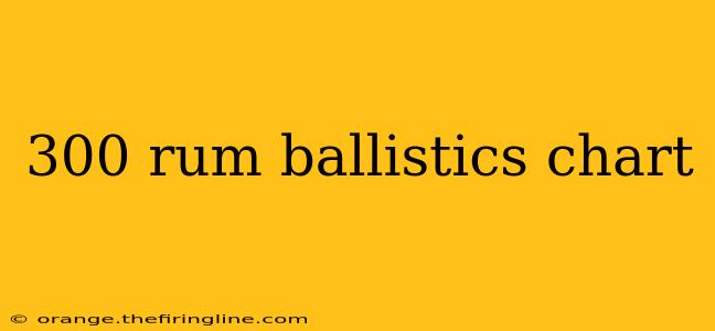 300 rum ballistics chart