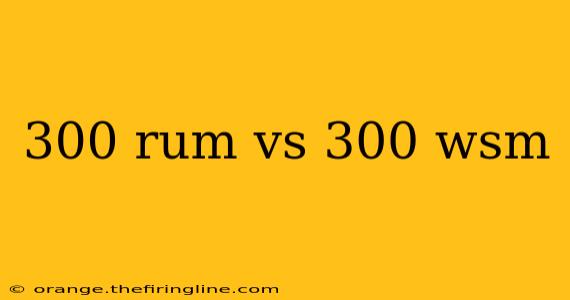 300 rum vs 300 wsm