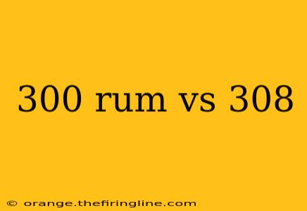 300 rum vs 308