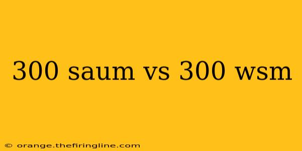 300 saum vs 300 wsm