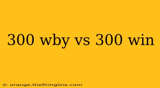 300 wby vs 300 win