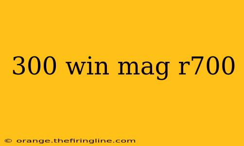 300 win mag r700