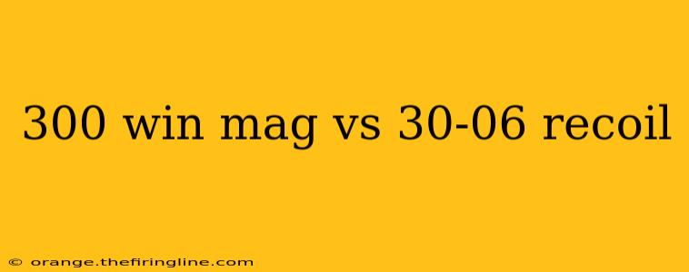 300 win mag vs 30-06 recoil