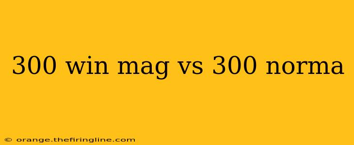 300 win mag vs 300 norma