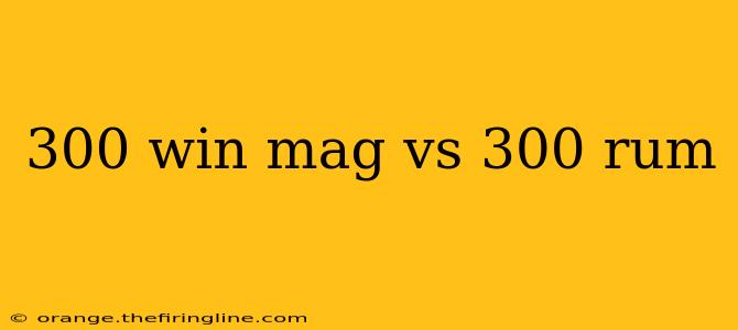 300 win mag vs 300 rum