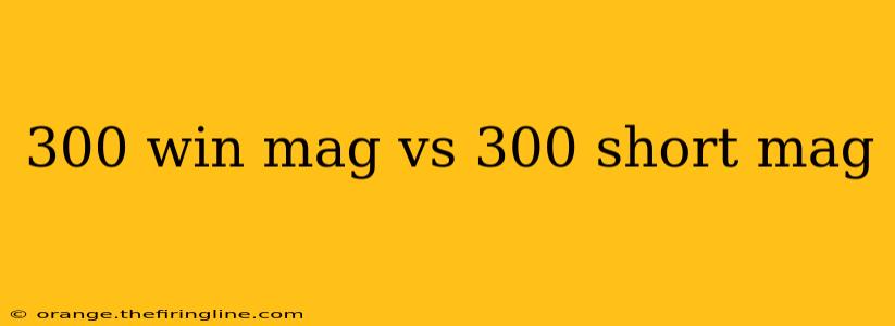 300 win mag vs 300 short mag