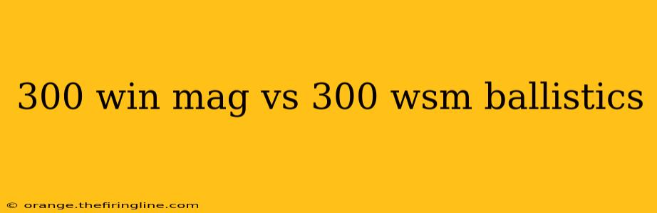 300 win mag vs 300 wsm ballistics