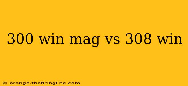 300 win mag vs 308 win