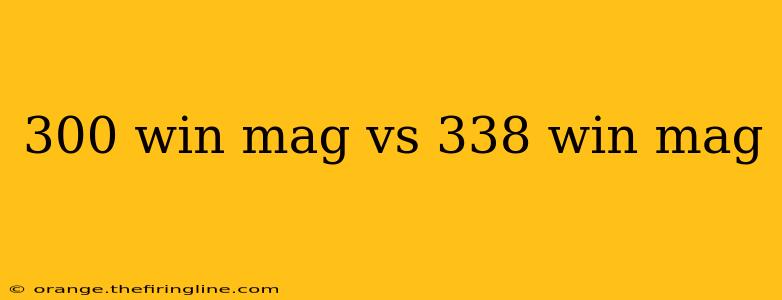 300 win mag vs 338 win mag