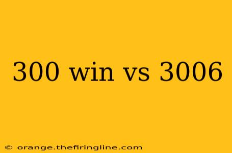 300 win vs 3006