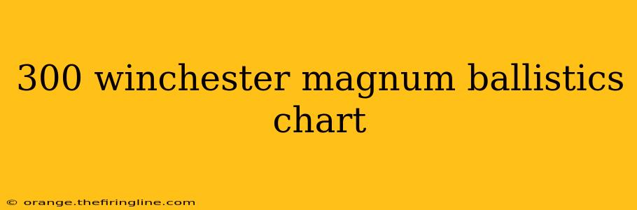 300 winchester magnum ballistics chart