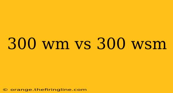 300 wm vs 300 wsm