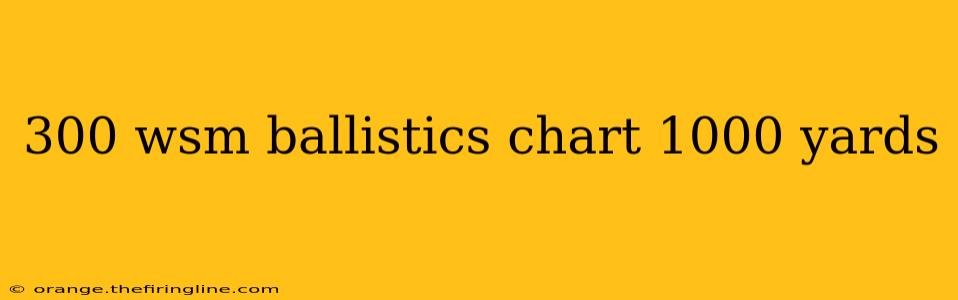 300 wsm ballistics chart 1000 yards