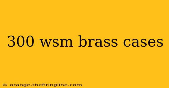 300 wsm brass cases