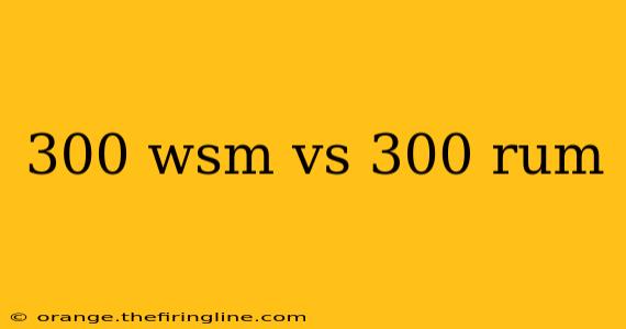 300 wsm vs 300 rum