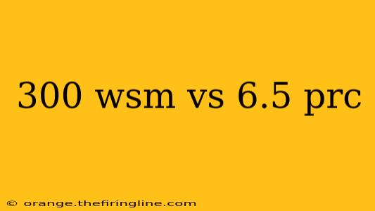 300 wsm vs 6.5 prc