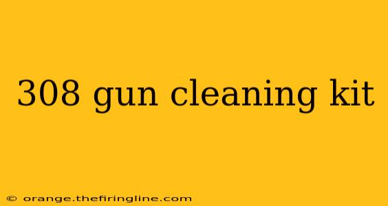 308 gun cleaning kit