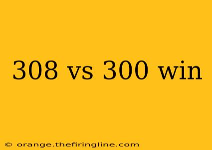 308 vs 300 win