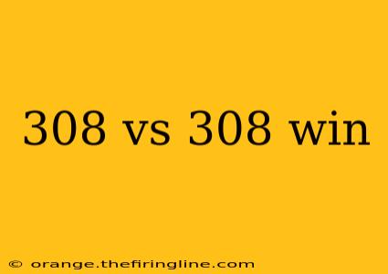 308 vs 308 win