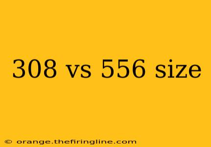 308 vs 556 size