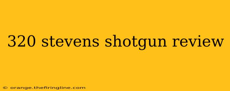 320 stevens shotgun review