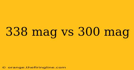 338 mag vs 300 mag