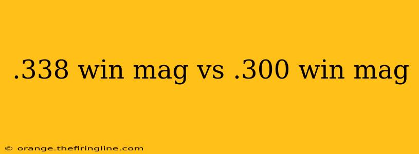 .338 win mag vs .300 win mag