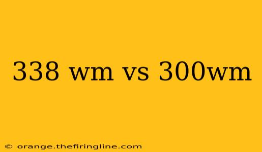 338 wm vs 300wm