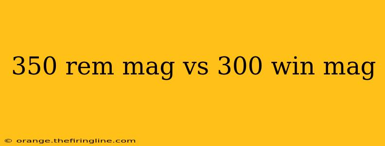 350 rem mag vs 300 win mag