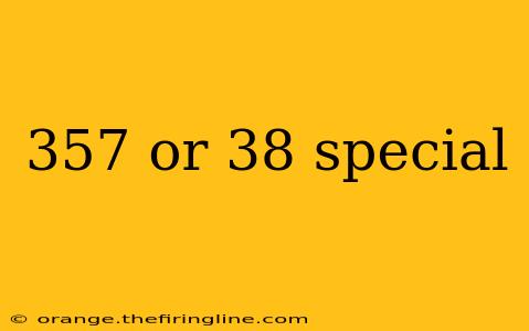 357 or 38 special