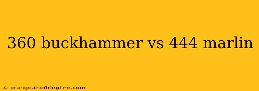 360 buckhammer vs 444 marlin