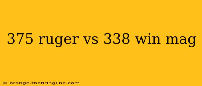 375 ruger vs 338 win mag