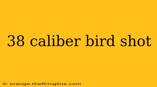 38 caliber bird shot