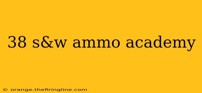 38 s&w ammo academy