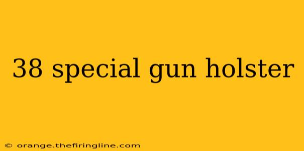 38 special gun holster