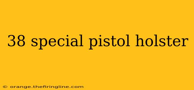 38 special pistol holster