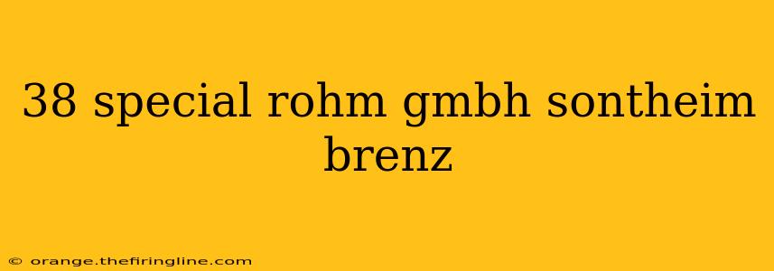 38 special rohm gmbh sontheim brenz