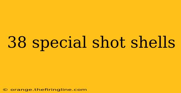 38 special shot shells