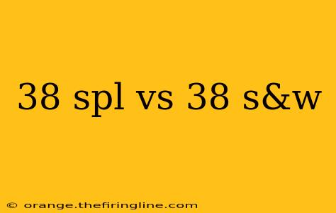 38 spl vs 38 s&w