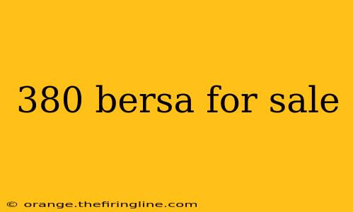 380 bersa for sale