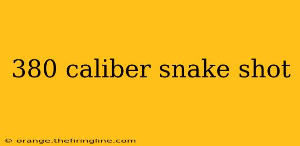 380 caliber snake shot