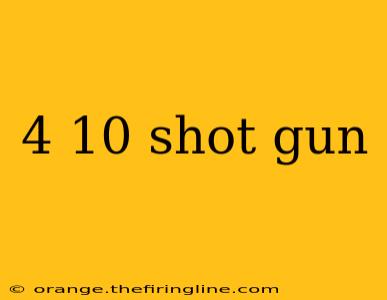 4 10 shot gun