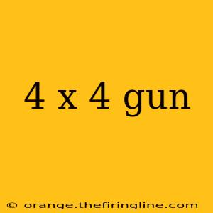 4 x 4 gun