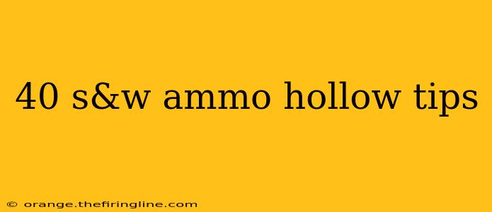 40 s&w ammo hollow tips